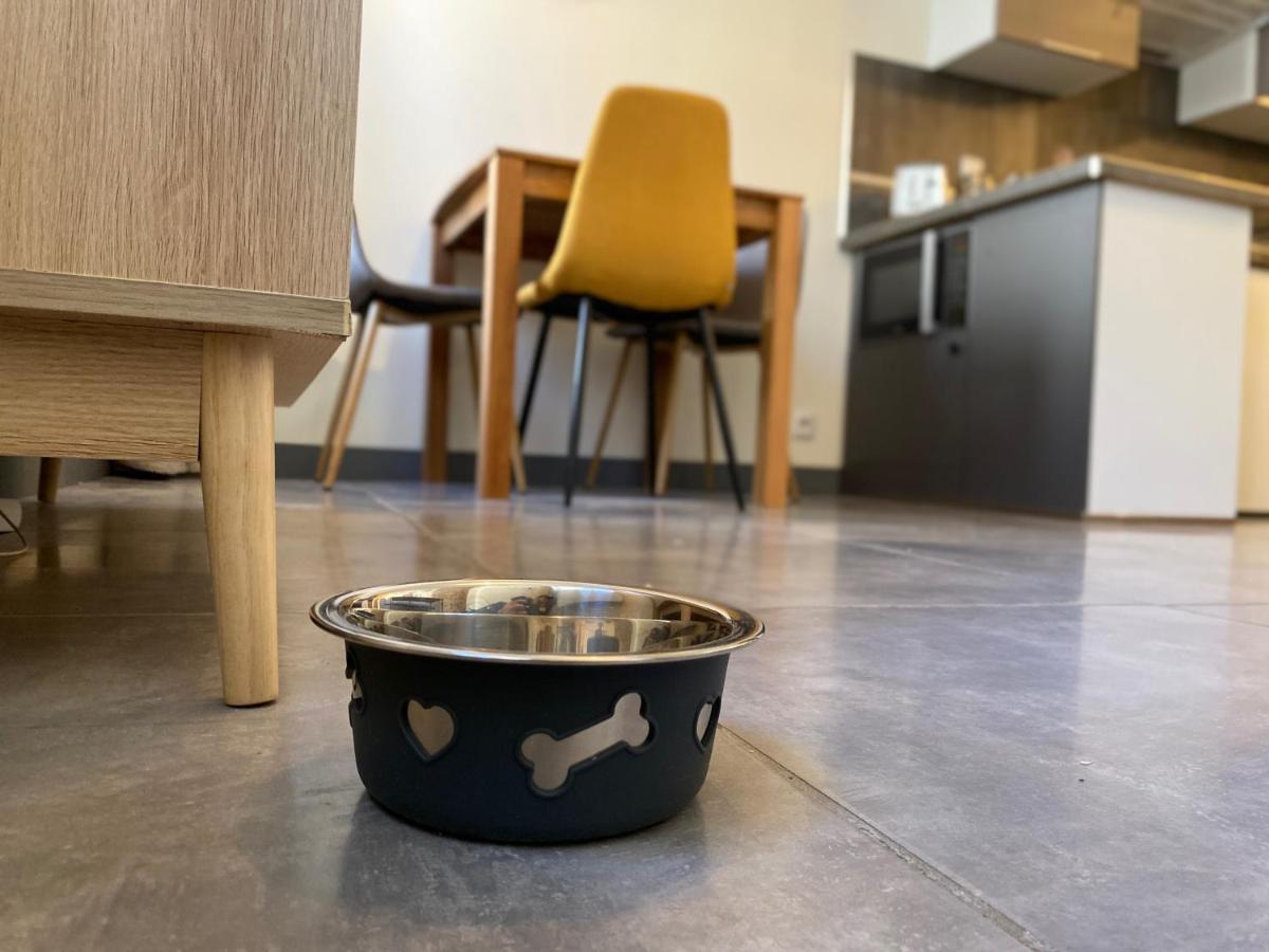 Exceptionnel ! Superbe Appartement Refait A Neuf En Rez-De-Chaussee Avec Parking Prive Castres  Kültér fotó